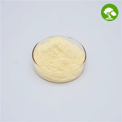 Vitamina K Pura Phylloquinone Trab